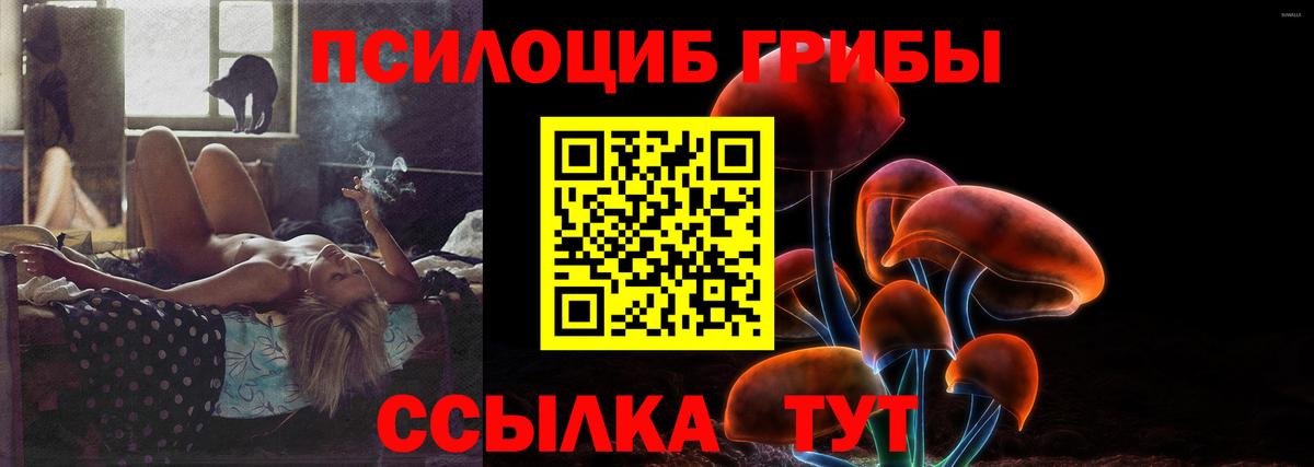 Галлюциногенные грибы мицелий Белгород
